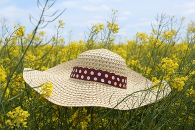 Photo of Women's hat on beautiful blooming rapeseed flowers outdoors