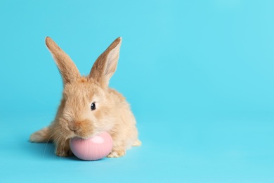 Photo of Adorable furry Easter bunny and dyed egg on color background, space for text