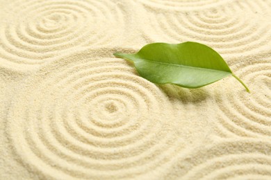 Photo of Zen rock garden. Circle patterns and green leaf on beige sand, closeup