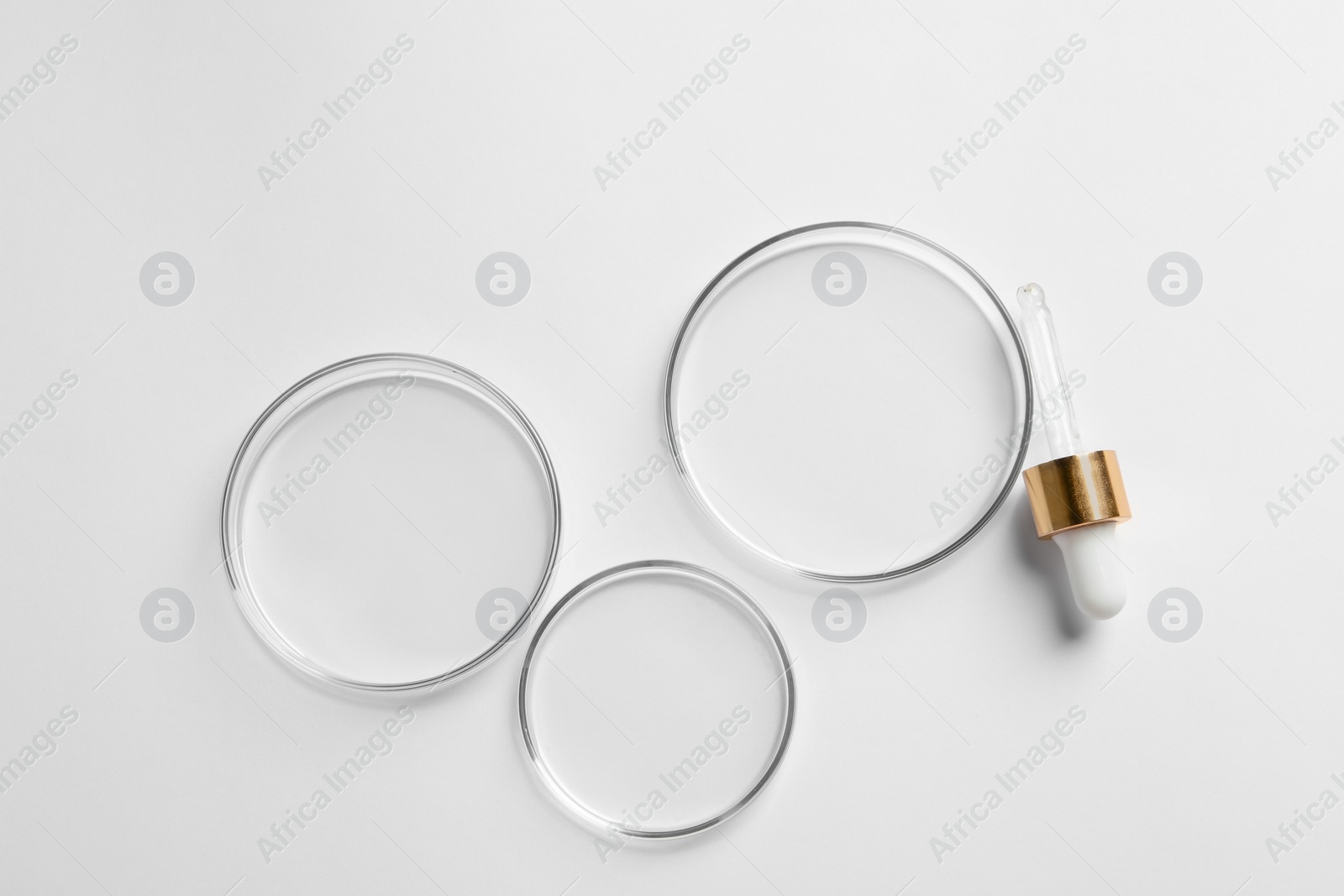 Photo of Empty Petri dishes and pipette on white background, flat lay