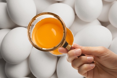 Image of Woman with magnifying glass focusing on chicken egg, closeup. Food control 