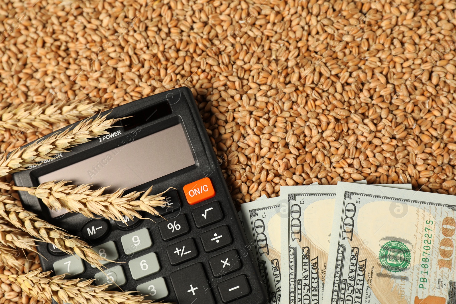 Photo of Dollar banknotes, calculator and wheat ears on grains, top view. Agricultural business