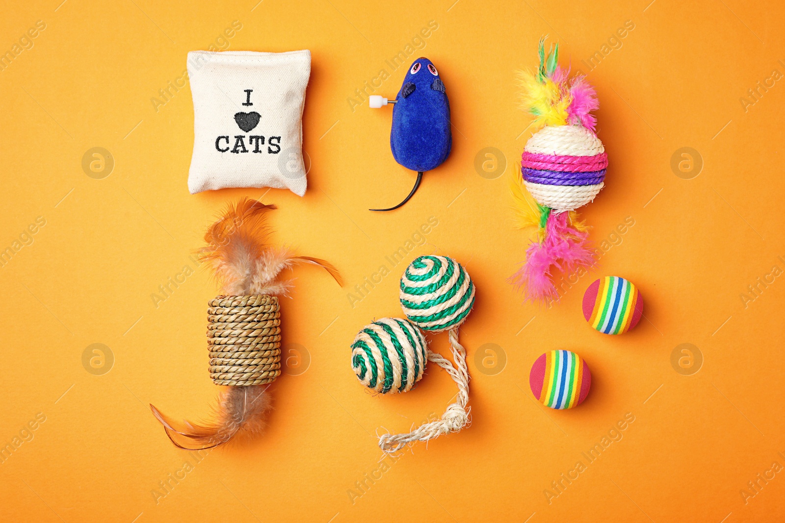 Photo of Flat lay composition with accessories for cat on color background. Pet care