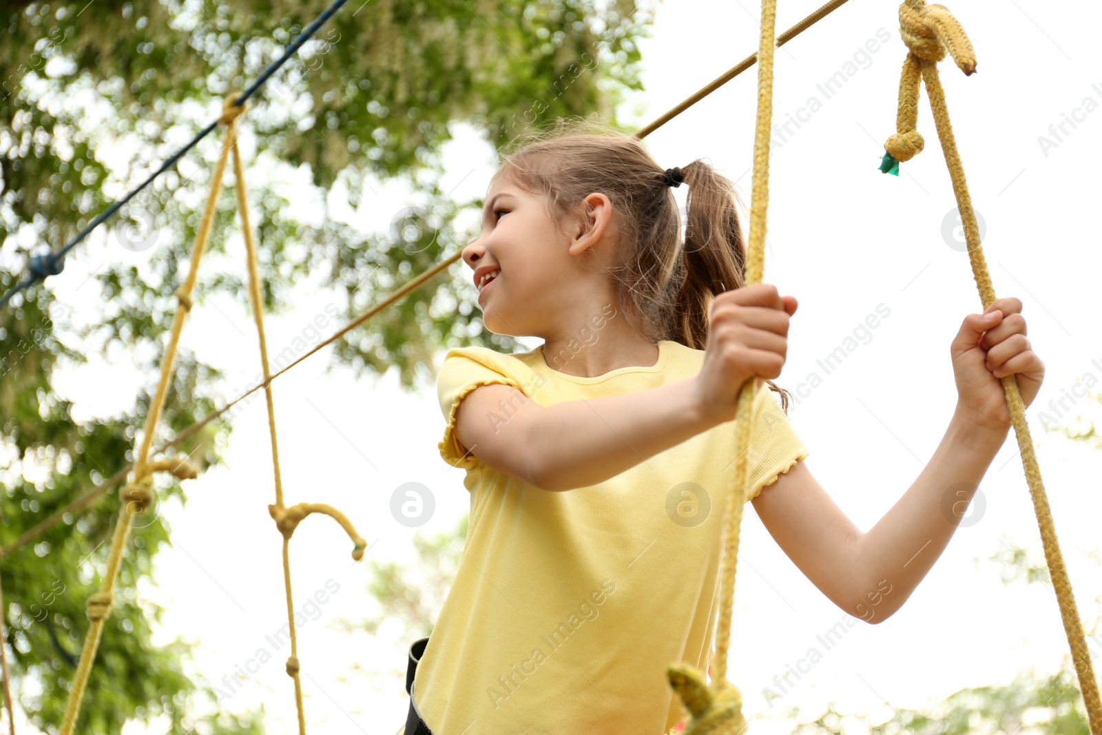 Photo of Little girl climbing in adventure park. Summer camp