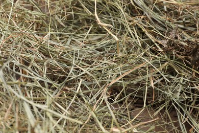 Dried hay on wooden table, closeup view