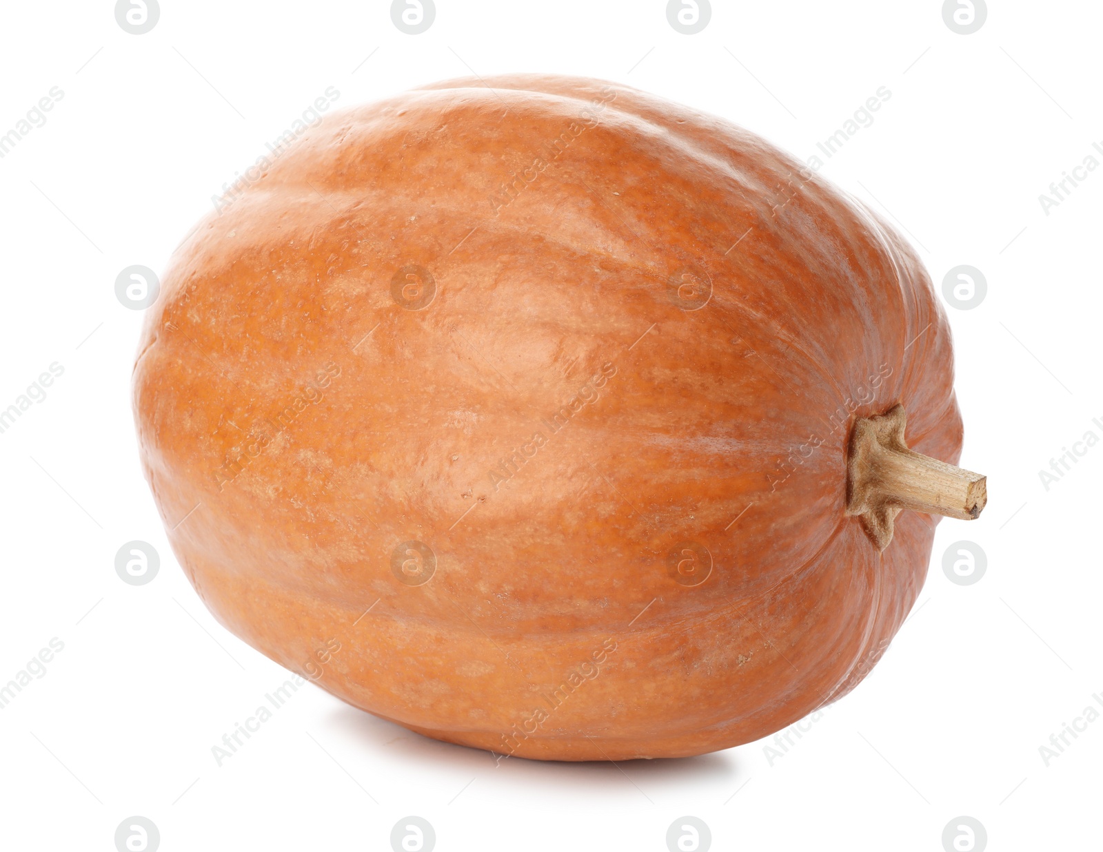 Photo of Fresh raw pumpkin isolated on white. Organic plant