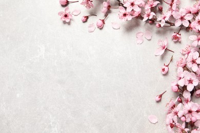 Cherry tree branch with beautiful pink blossoms on light stone table, flat lay. Space for text