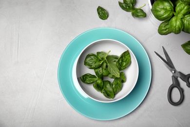 Photo of Dishware with fresh basil leaves and scissors on table, top view