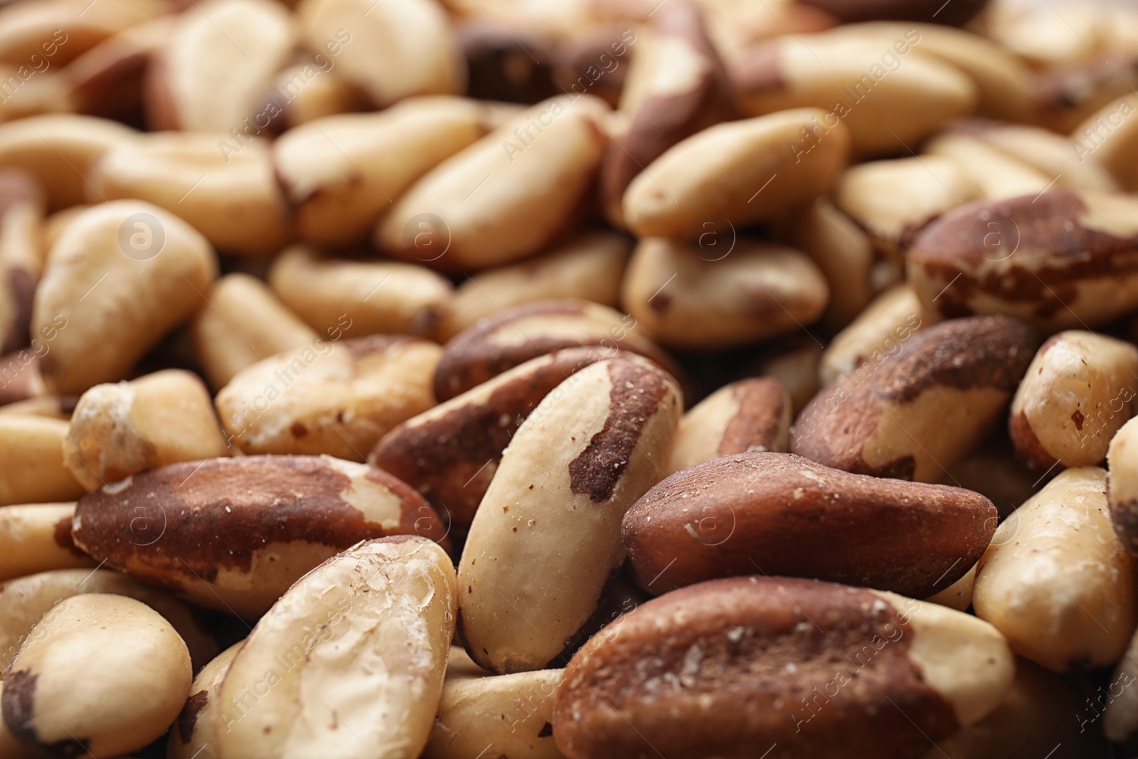 Photo of Many delicious Brazil nuts as background, closeup