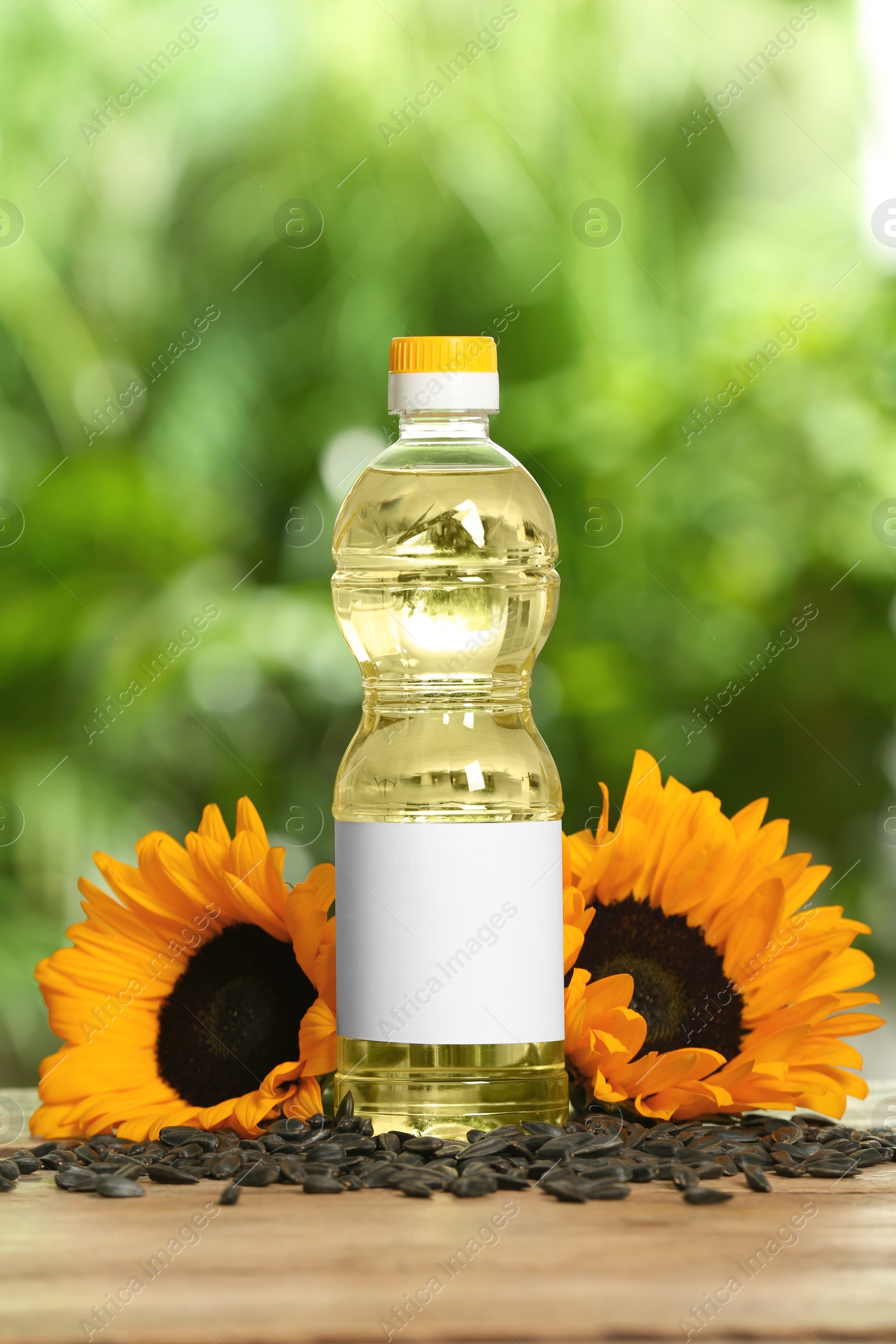 Photo of Sunflower cooking oil, seeds and yellow flowers on wooden table outdoors