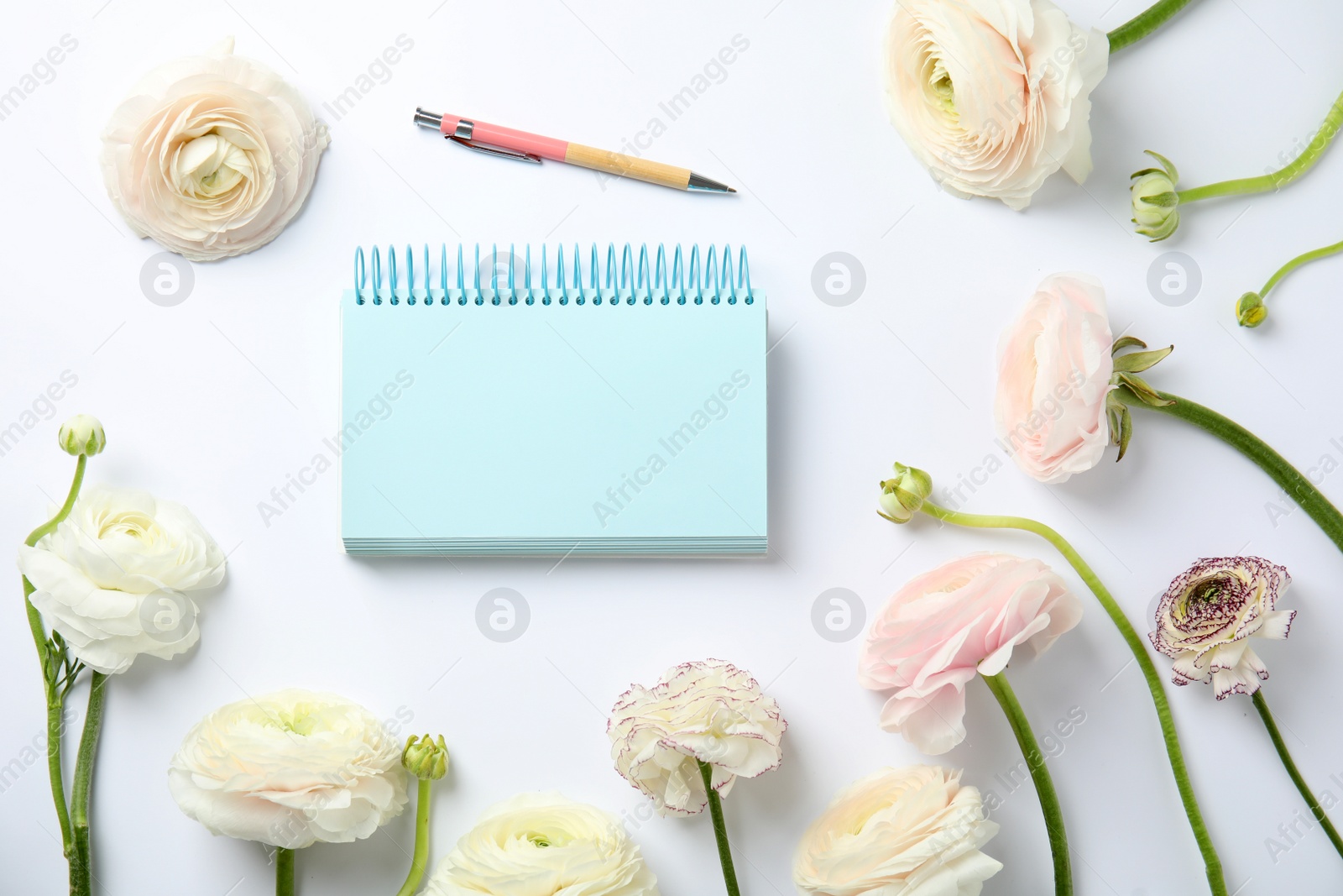 Photo of Flat lay composition with spring ranunculus flowers and notebook on white background. Space for text