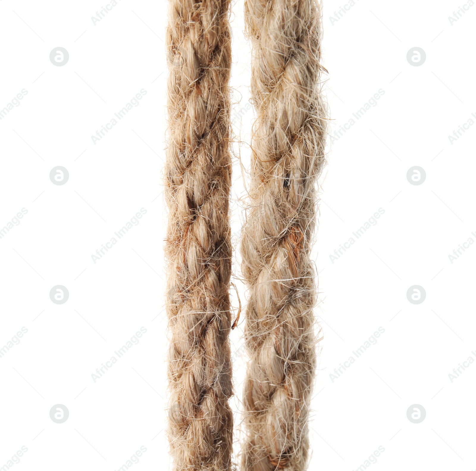 Photo of Hemp ropes on white background. Organic material