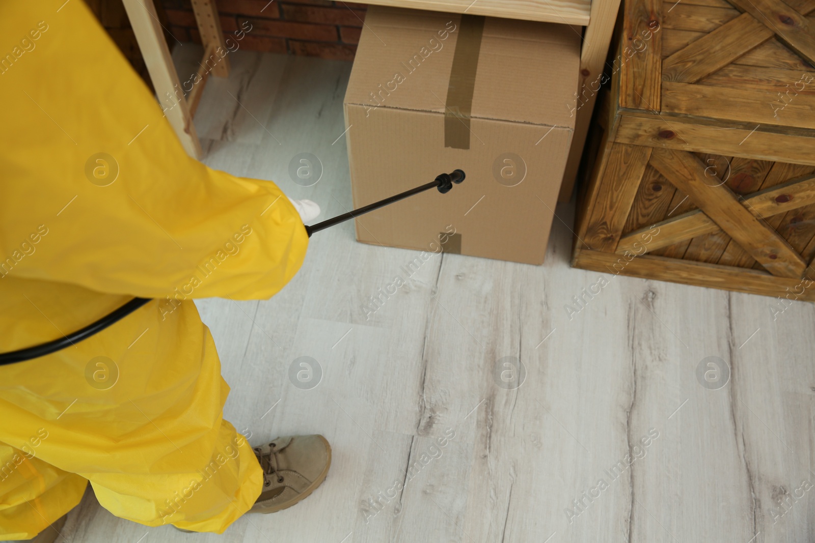 Photo of Pest control worker spraying pesticide indoors, closeup