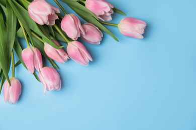 Beautiful pink spring tulips on light blue background, flat lay. Space for text