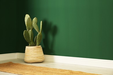 Potted cactus near green wall indoors. Space for text