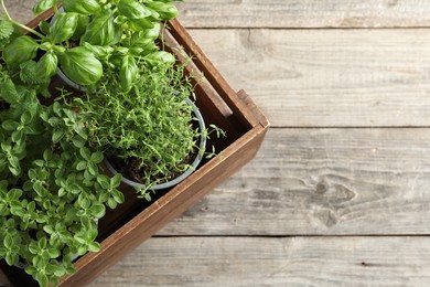 Crate with different potted herbs on wooden table, top view. Space for text
