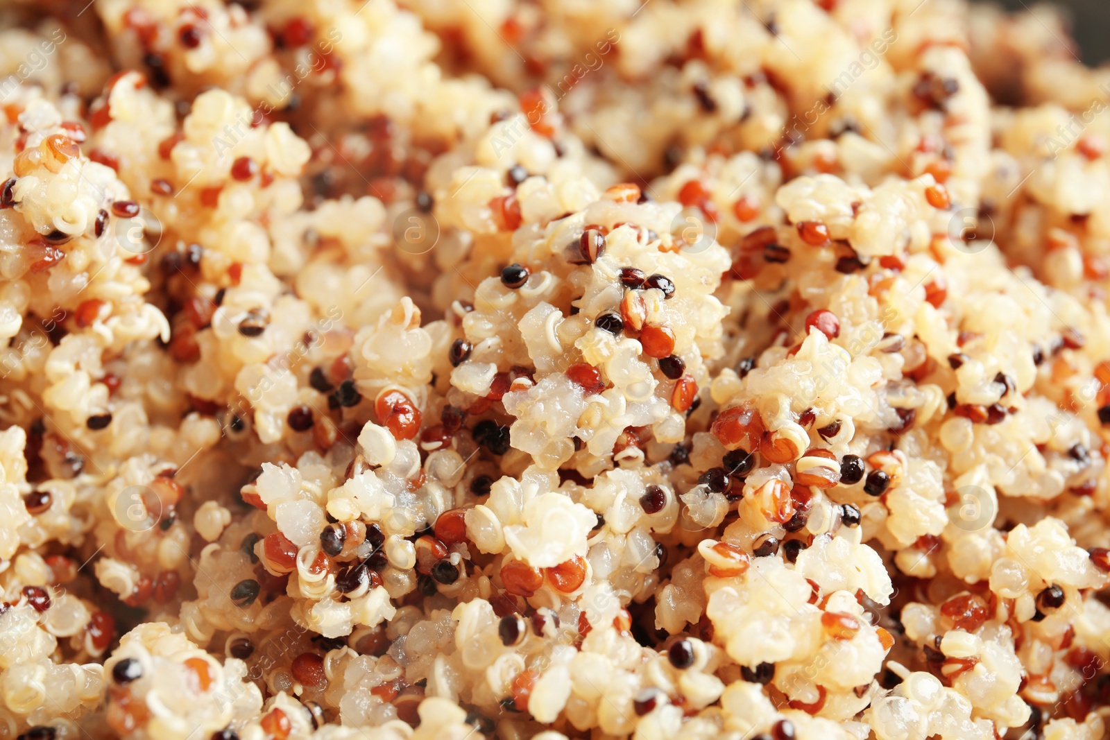 Photo of Closeup view of cooked quinoa. Healthy superfood