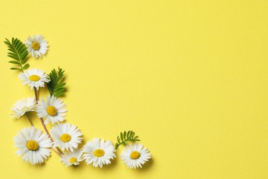 Photo of Beautiful daisy flowers and leaves on yellow, flat lay. Space for text