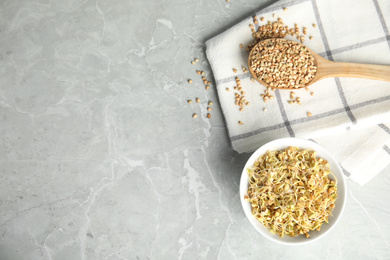 Bowl of sprouted green buckwheat and spoon with grains on light grey table, flat lay. Space for text