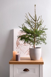 Photo of Beautiful room with potted fir. Interior design