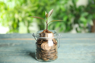 Glass jar with coins and green plant on light blue wooden table