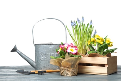 Photo of Composition with plants and gardening tools on table against white background