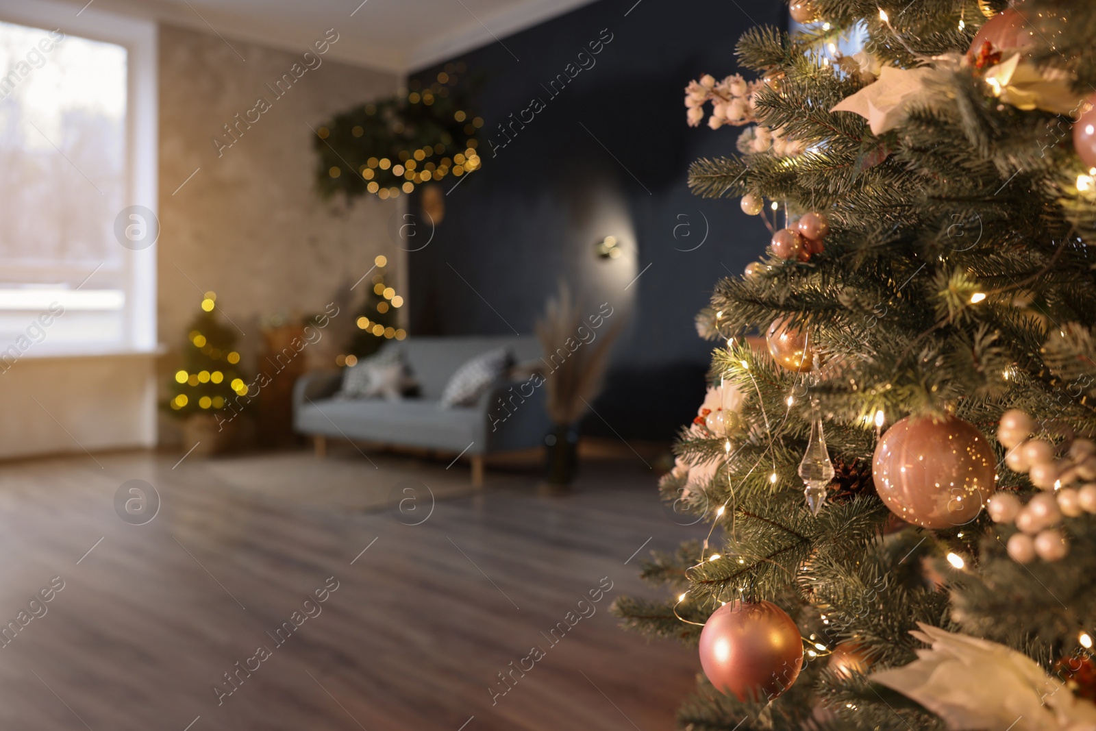 Photo of Stylish living room with comfortable sofa and Christmas tree, closeup. Interior design