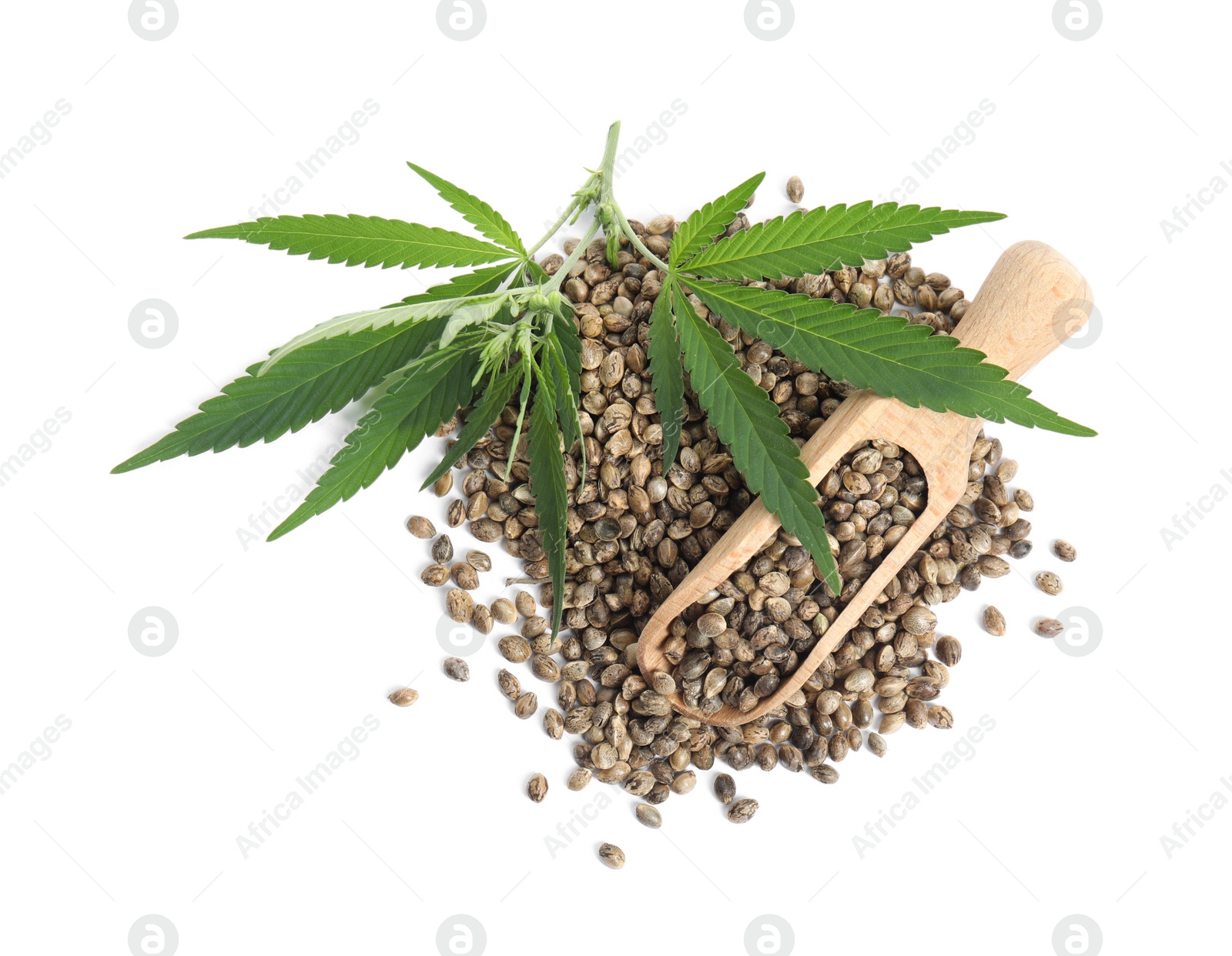 Photo of Wooden scoop, hemp seeds and leaves on white background, top view