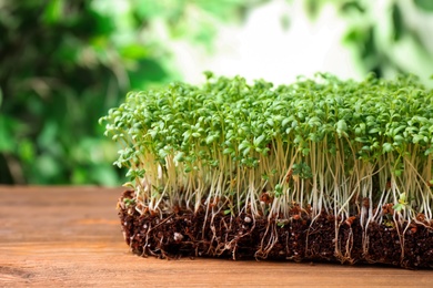 Photo of Fresh organic microgreen on wooden table, closeup view