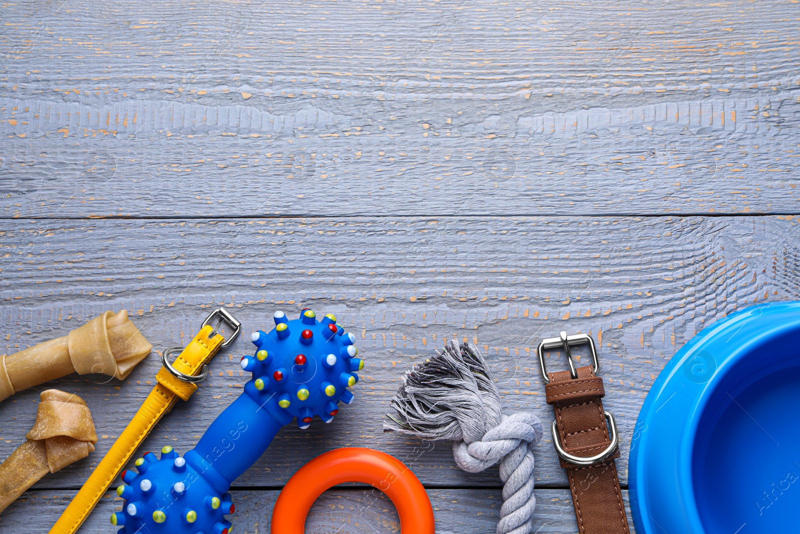 Photo of Flat lay composition with dog collar and different accessories on grey wooden table, space for text