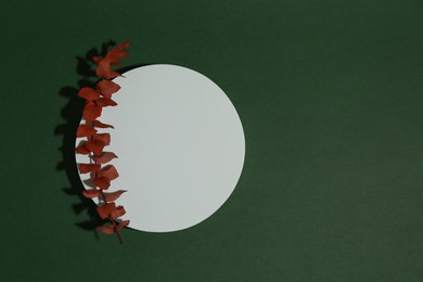 Photo of Product photography prop. Round shaped podium and plant on green background, top view with space for text