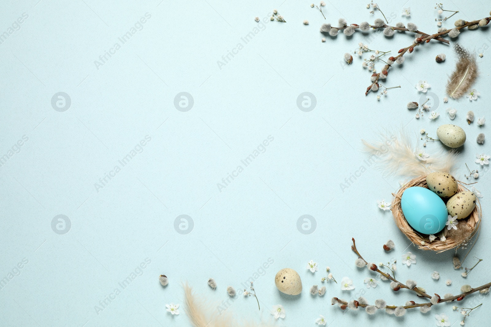 Photo of Beautiful flat lay composition with flowers and Easter eggs on light background. Space for text