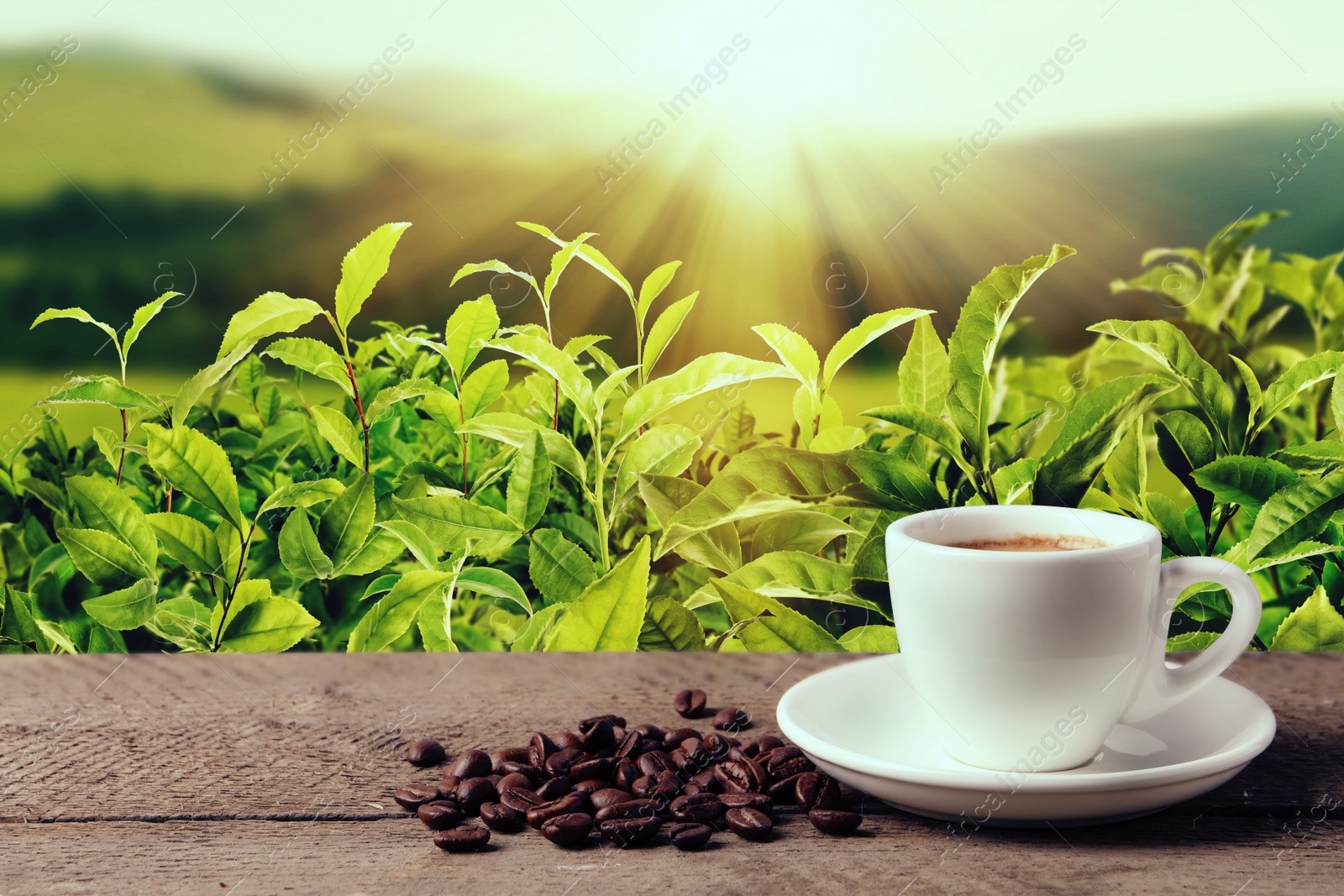 Image of Cup of aromatic hot coffee on wooden table and beautiful view of mountain landscape. Space for text