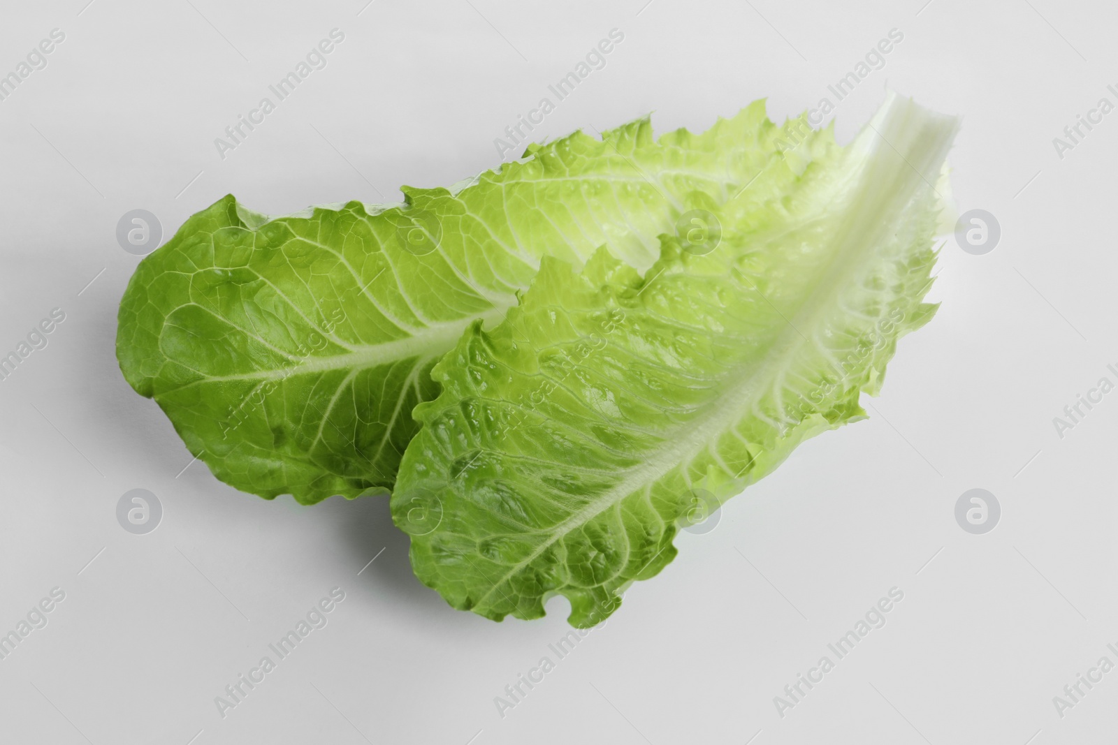 Photo of Fresh green leaves of romaine lettuce on white background