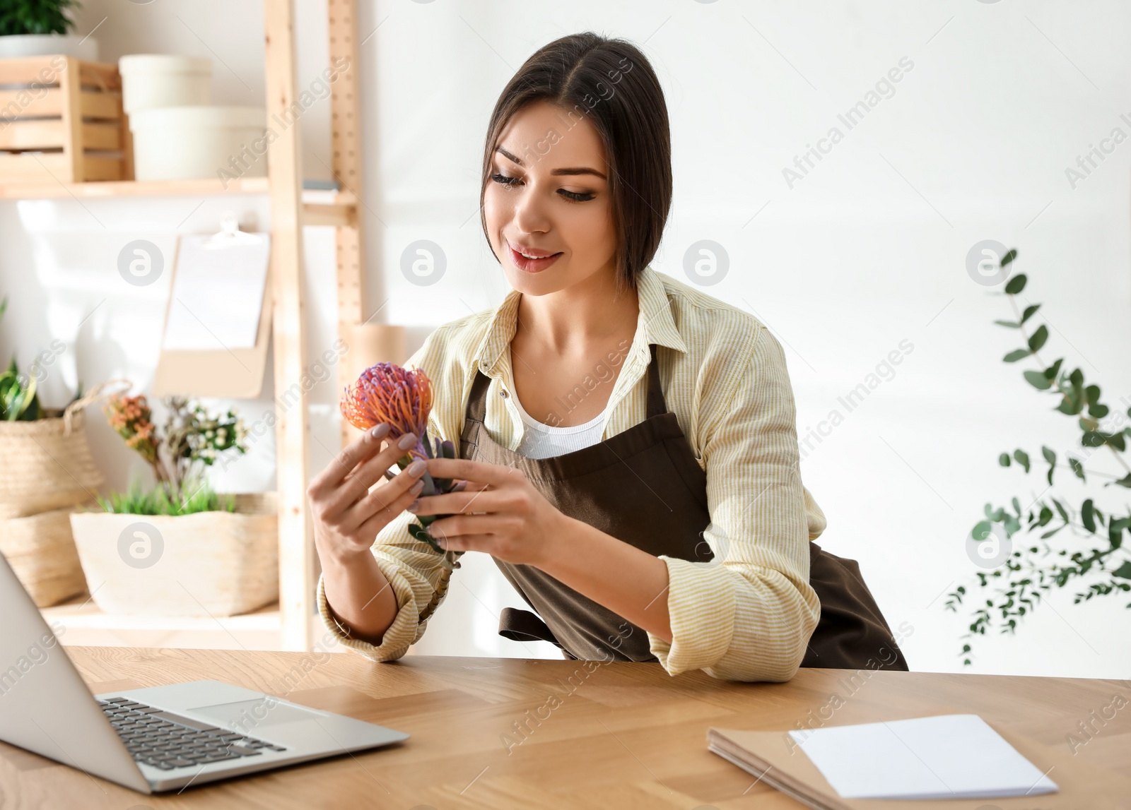 Photo of Florist with leucospermum flower near laptop in floral store