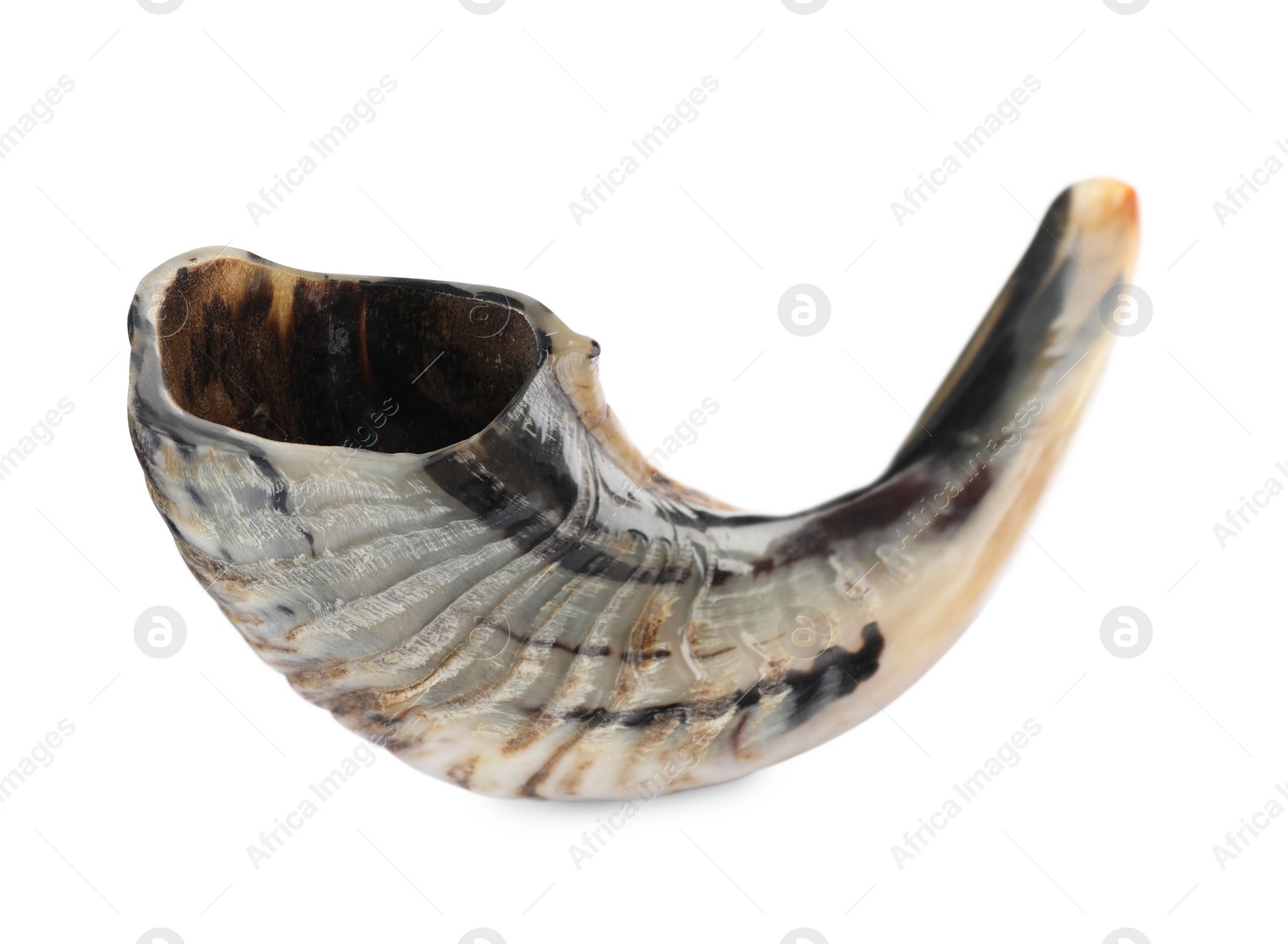 Photo of Shofar isolated on white. Rosh Hashanah holiday symbol