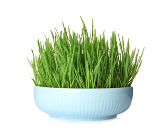 Photo of Bowl with fresh wheat grass isolated on white