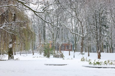 Photo of Trees covered with snow in winter park