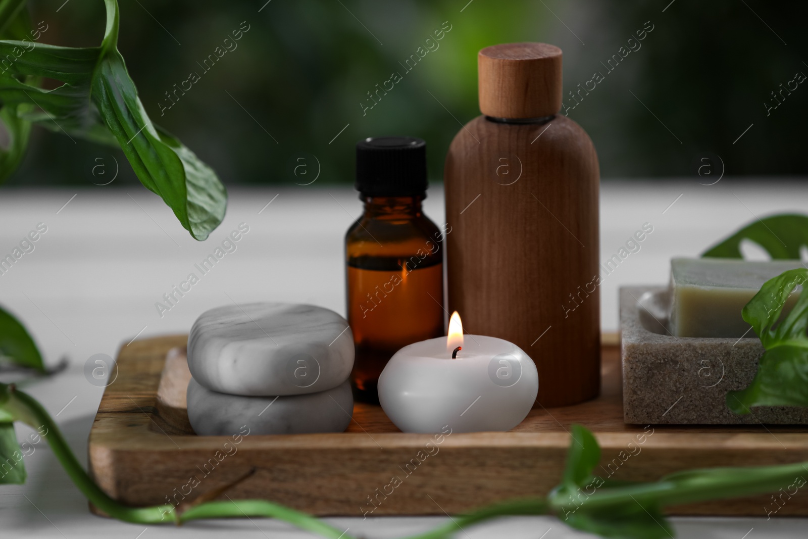 Photo of Beautiful composition with different spa products and green leaves on white table, closeup