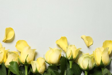 Beautiful yellow roses and petals on light grey background, flat lay. Space for text