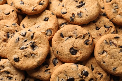 Photo of Many delicious chocolate chip cookies as background, top view