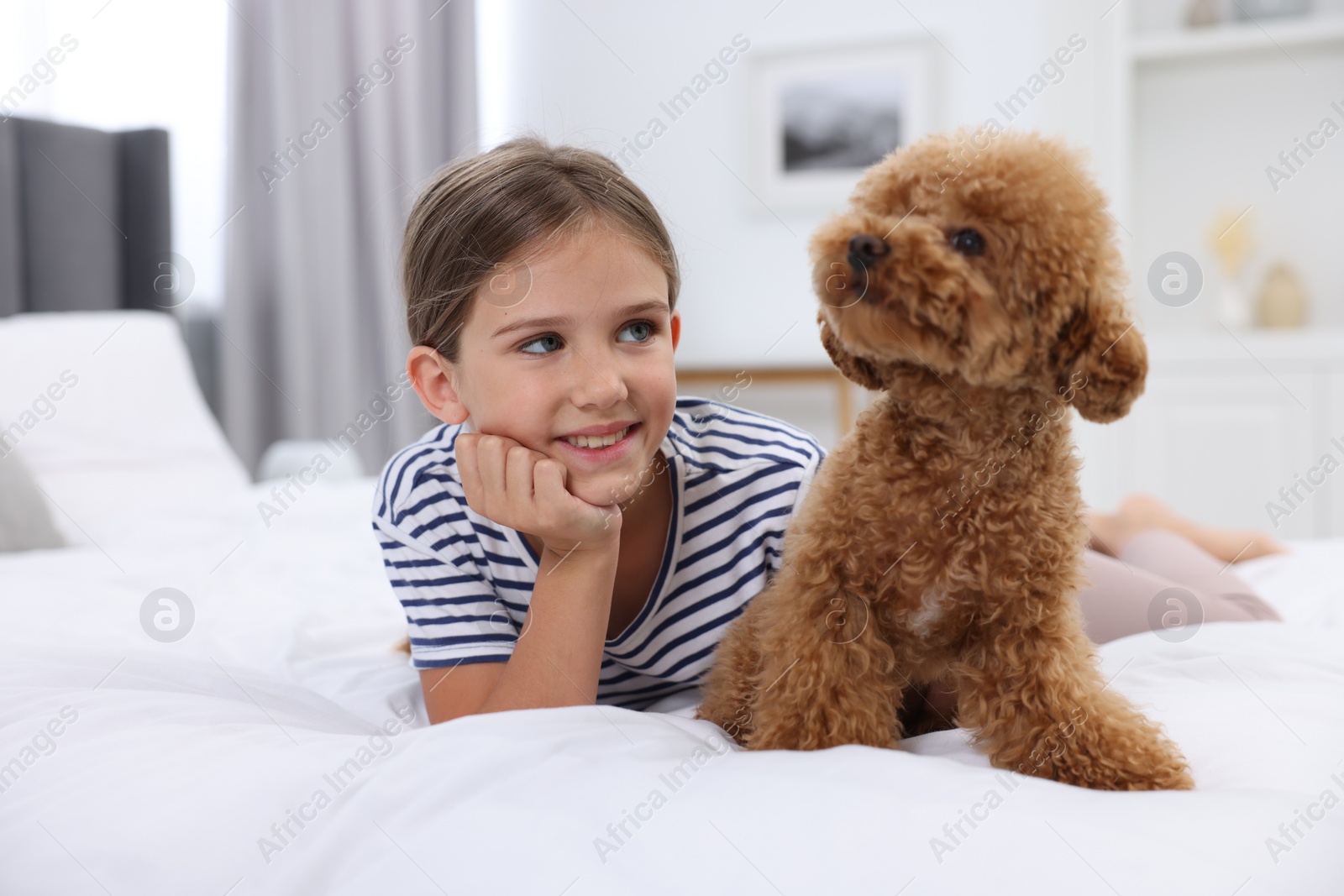 Photo of Little child and cute puppy on bed at home. Lovely pet