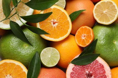 Different fresh whole and cut citrus fruits as background