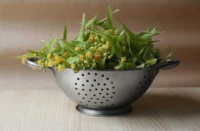 Photo of Beautiful linden blossoms and green leaves in metal colander on white wooden table