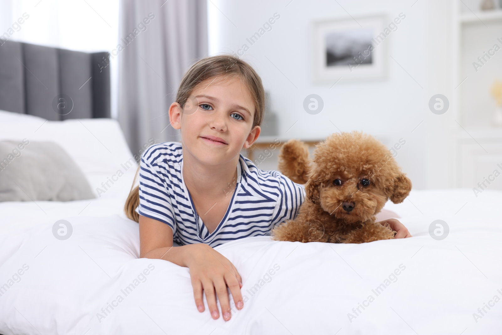 Photo of Little child and cute puppy on bed at home. Lovely pet