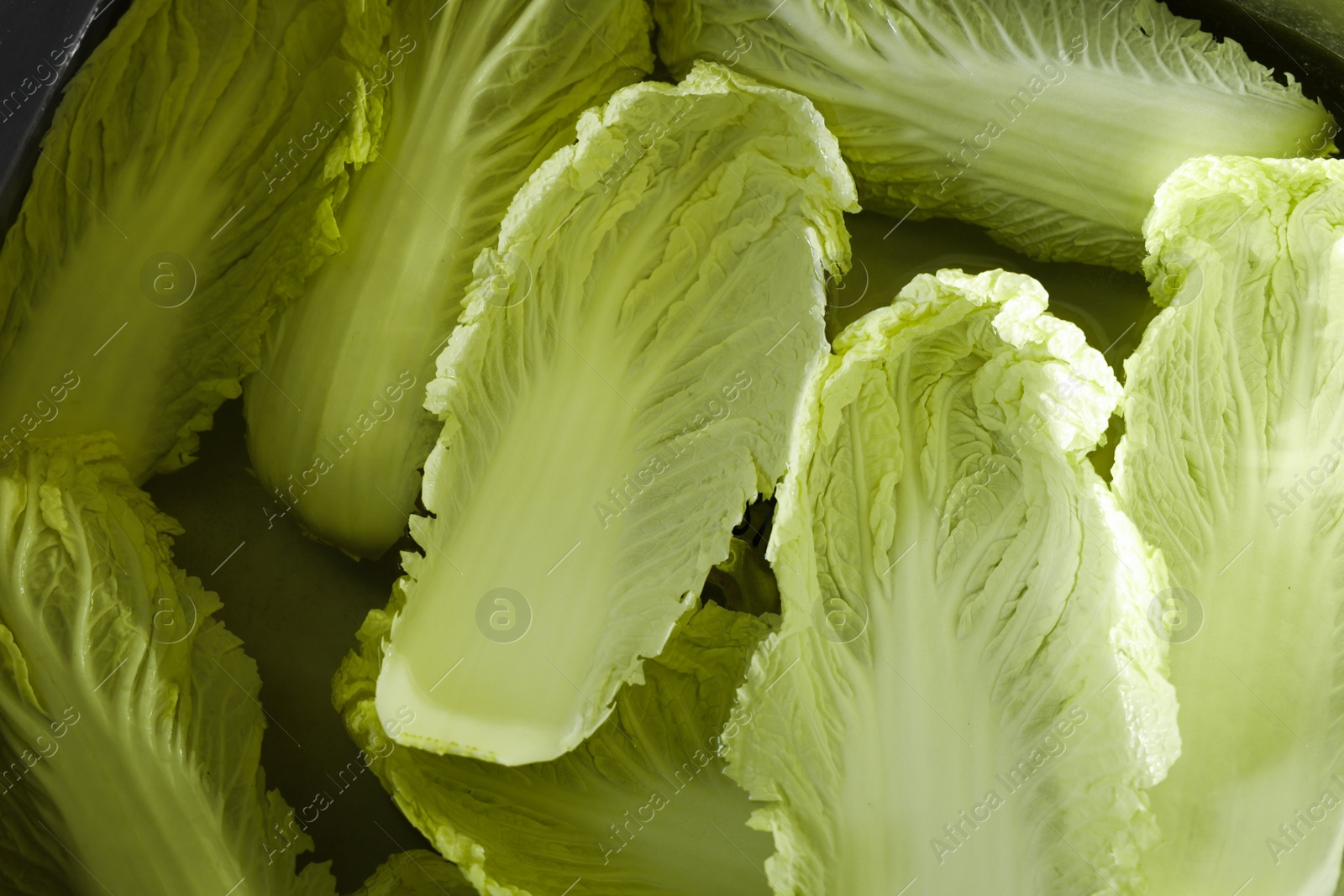 Photo of Chinese cabbage leaves in water inside sink, top view