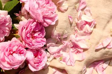 Photo of Beautiful tea roses and petals on beige fabric, closeup