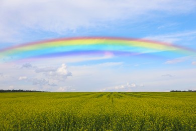 Image of Beautiful rainbow in blue sky over green field on sunny day