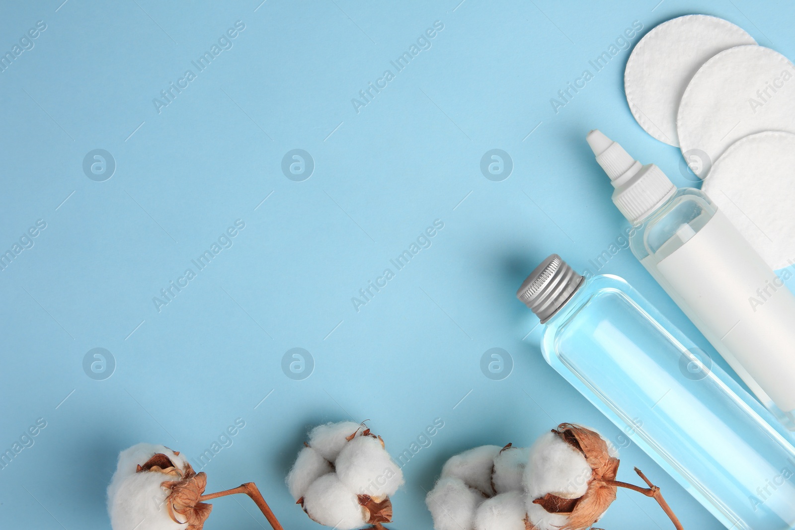 Photo of Bottles of makeup removers, cotton flowers and pads, on light blue background, flat lay. Space for text