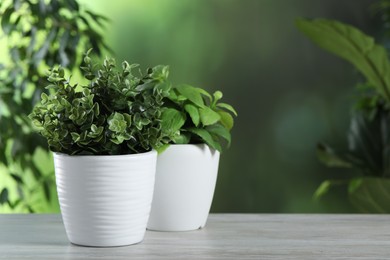 Photo of Aromatic oregano and basil growing in pots on white wooden table outdoors, space for text